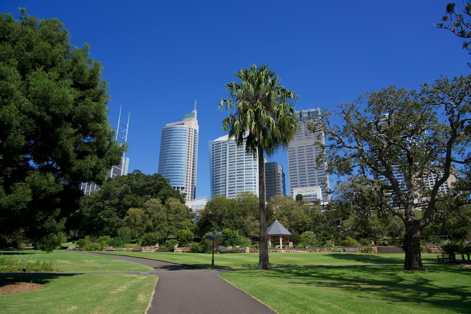 Parkland with the city skyline behind the trees